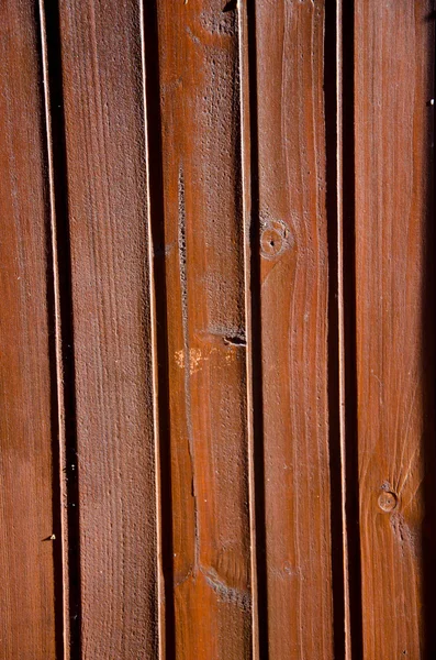 Fondos de árboles de madera — Foto de Stock