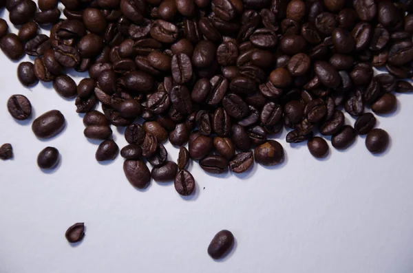 Coffee table shpo — Stock Photo, Image