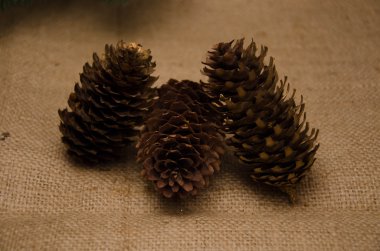 Noel Oyuncak Hediyelik