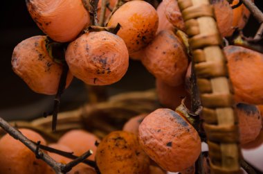 foodie meyve arka planlar