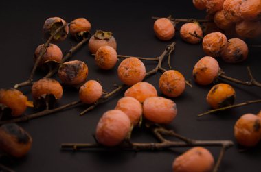 foodie meyve arka planlar