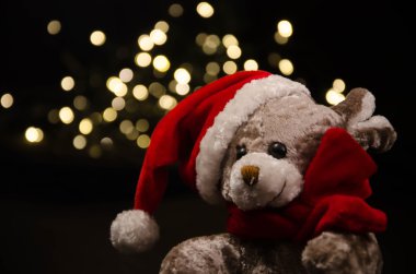 Teddy ayı yeni yıl