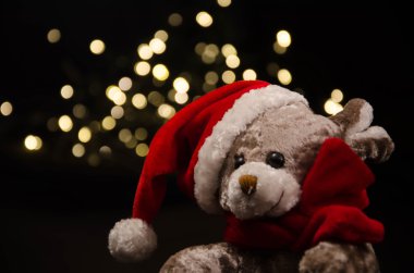 Teddy ayı yeni yıl
