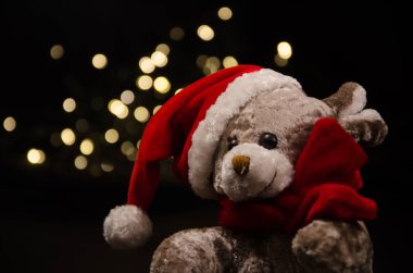 Teddy ayı yeni yıl