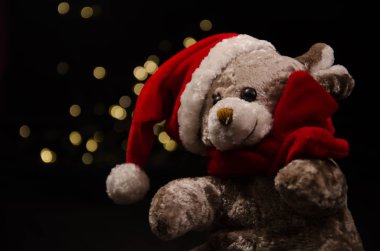 Teddy ayı yeni yıl