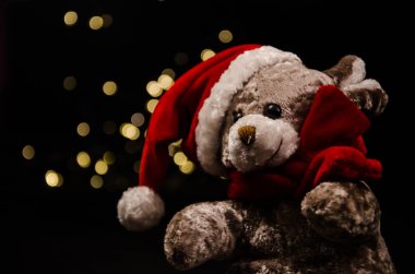 Teddy ayı yeni yıl