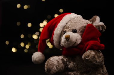 Teddy ayı yeni yıl