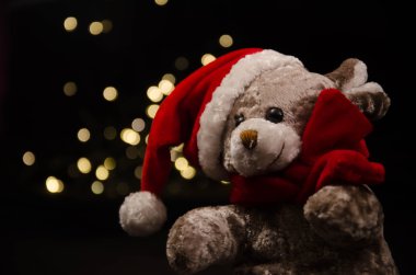 Teddy ayı yeni yıl