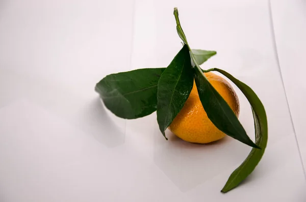 mandarin fruit orange