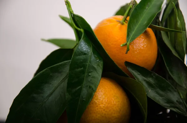 mandarin fruit orange