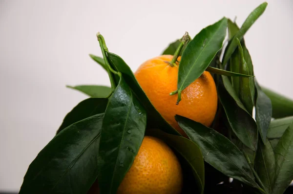 Mandarina fruta naranja — Foto de Stock