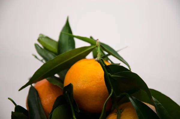 mandarin fruit orange