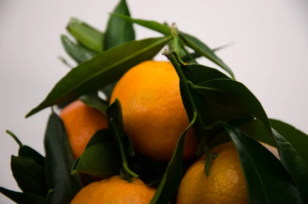 mandarin fruit orange
