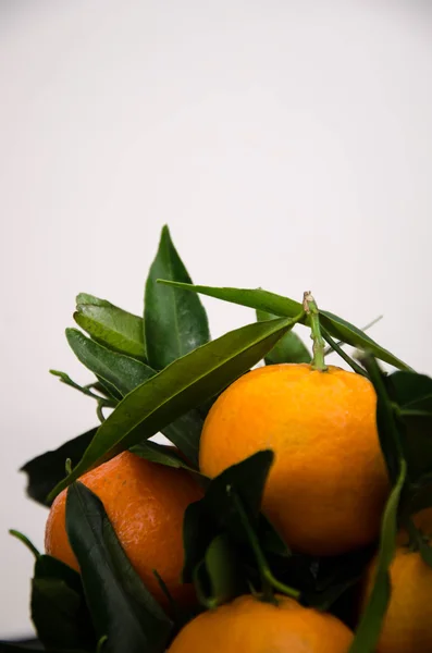 mandarin fruit orange