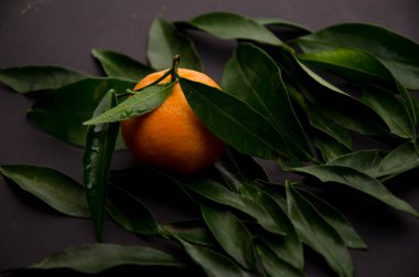 mandalina meyve arka planlar