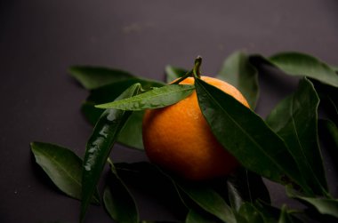 mandalina meyve arka planlar