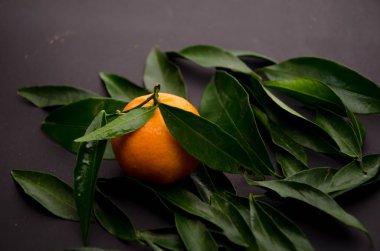 mandalina meyve arka planlar