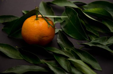 mandalina meyve arka planlar