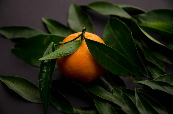 mandarin fruit backgrounds