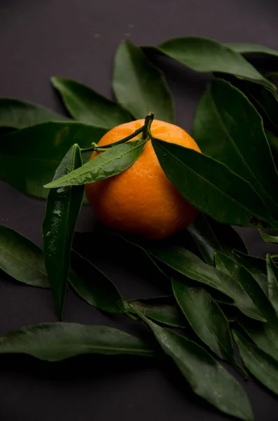 Fondos de frutos de mandarina — Foto de Stock