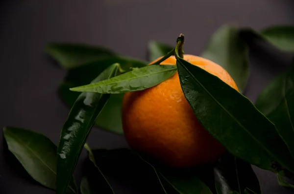 Fondos de frutos de mandarina — Foto de Stock