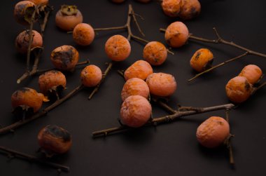 gurme restoran arka planlar