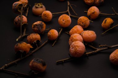 gurme restoran arka planlar