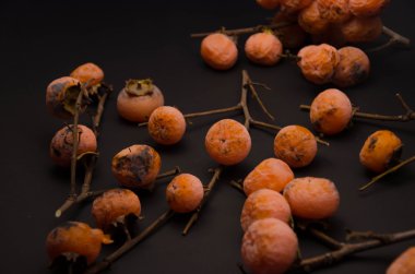 gurme restoran arka planlar