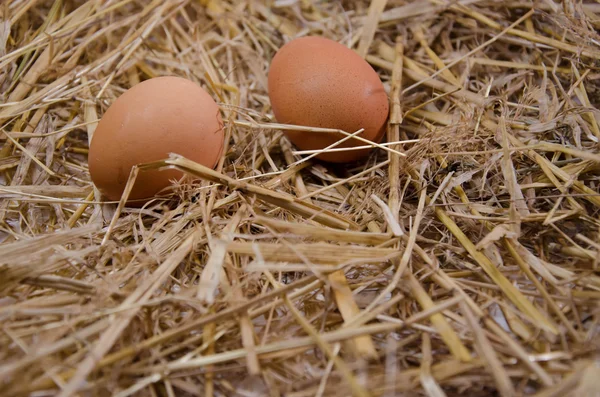 Eggshell food kitch — Stock Photo, Image