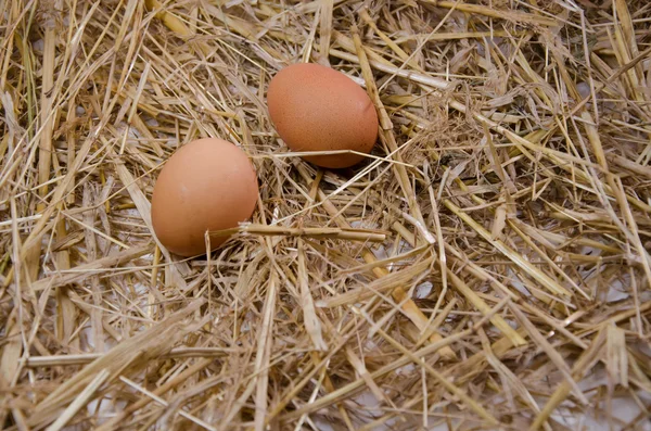 Eggshell food kitch — Stock Photo, Image