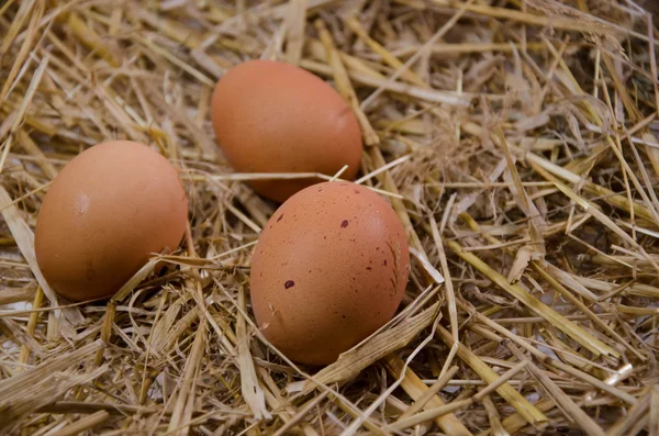 Eggshell food kitch — Stock Photo, Image