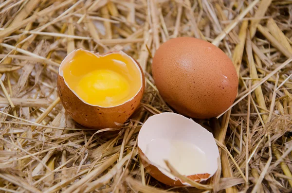 鸡蛋蛋白质背景 — 图库照片