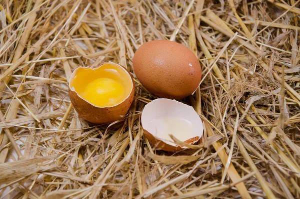 Fondos de proteínas de los huevos — Foto de Stock