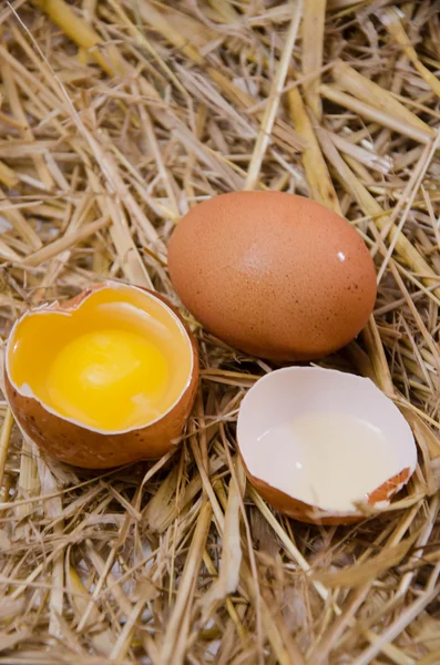 Telur di latar belakang kayu — Stok Foto