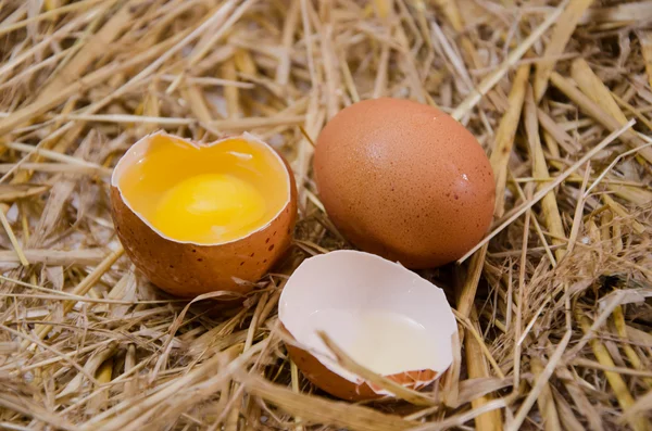 Telur di latar belakang kayu — Stok Foto