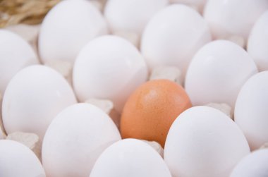 Tahta arka planda yumurtalar