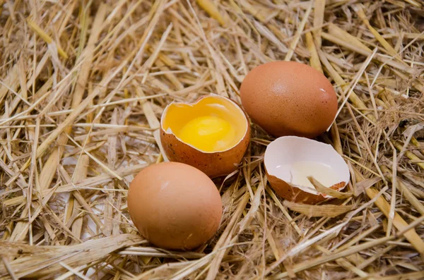Huevos crudos aislados — Foto de Stock