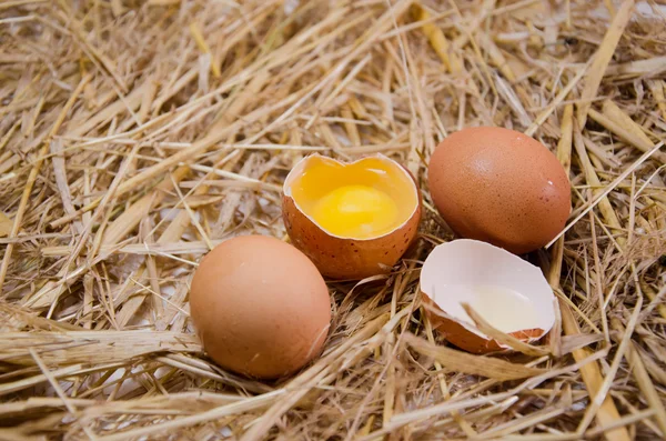 Ωμά αυγά απομονωμένες — Φωτογραφία Αρχείου