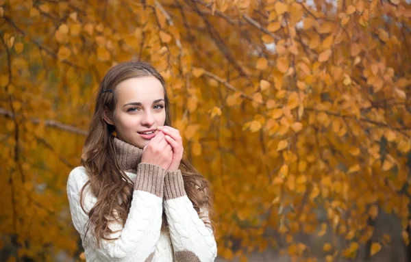 Młoda piękna kobieta w jesiennym parku. — Zdjęcie stockowe