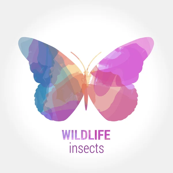 Vadon élő állatok transzparens - butterfly rovarok — Stock Vector