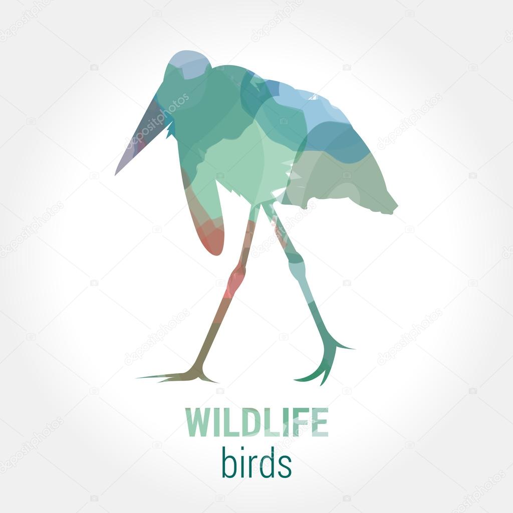 Wildlife banner - birds marabou