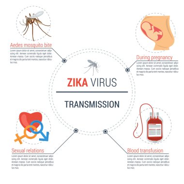 Zika virüs Infographic - iletim