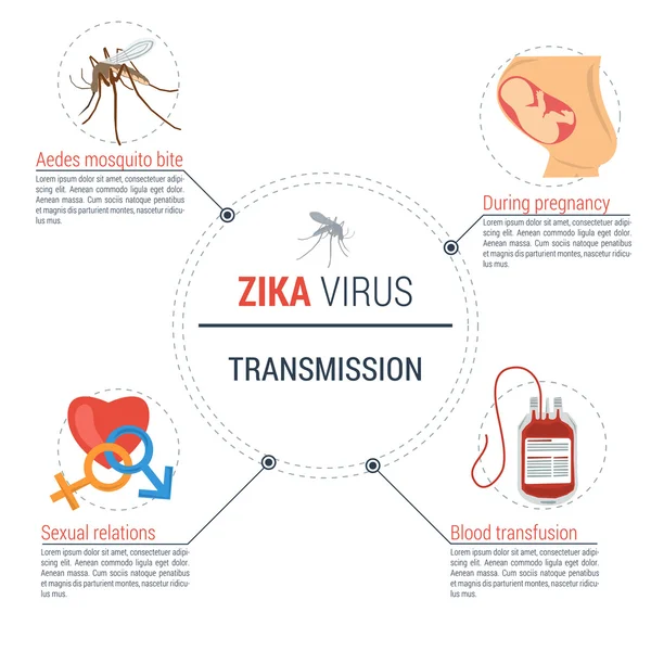 Zika vírus infographic - átvitel — Stock Vector