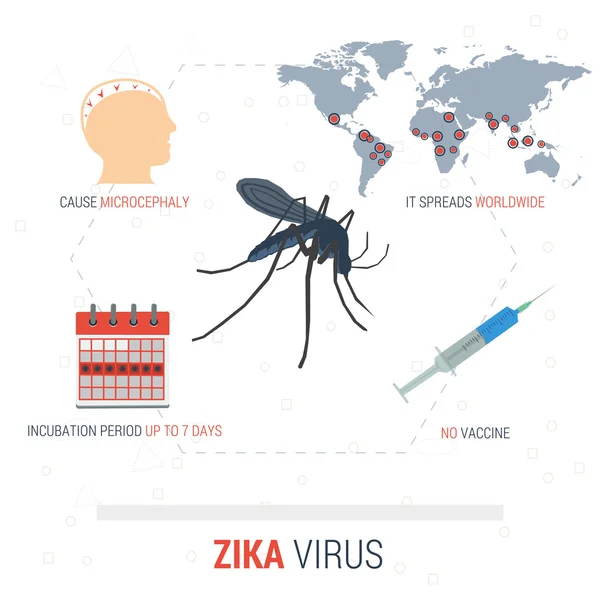 Zika vírus infographic - tények — Stock Vector