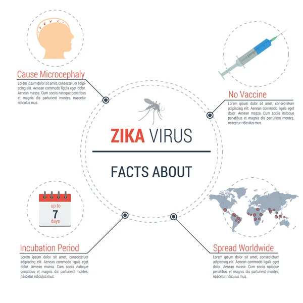 ข้อมูลเกี่ยวกับไวรัสซิกา ข้อเท็จจริง — ภาพเวกเตอร์สต็อก