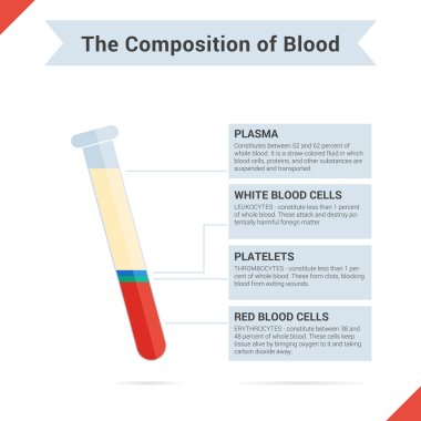 Composition of whole blood clipart