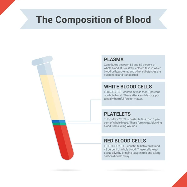 Composition of whole blood — Stock Vector