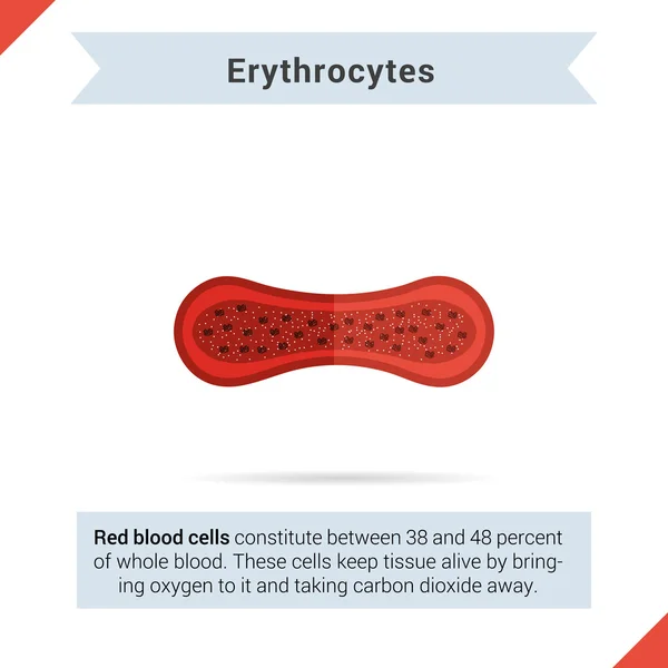 Icône plate érythrocytes cellule — Image vectorielle