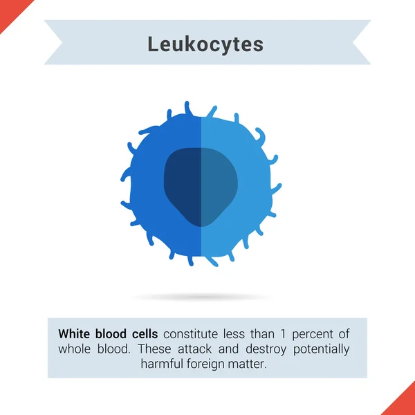 Platte pictogram leukocyten cel — Stockvector