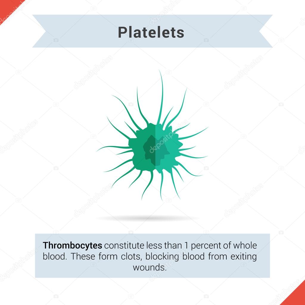 Flat icon platelets cell